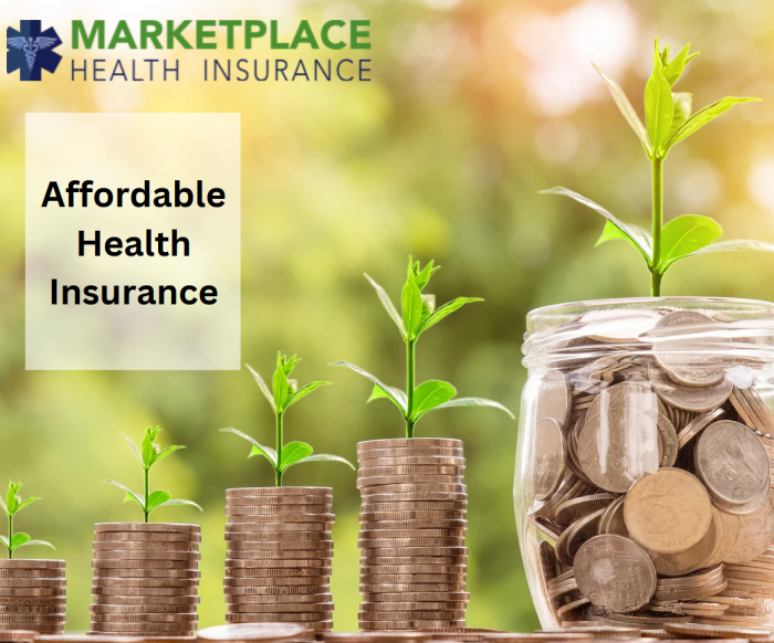 Phoenix-area affordable housing projects often face wall of opposition Affordable Health Insurance Plans