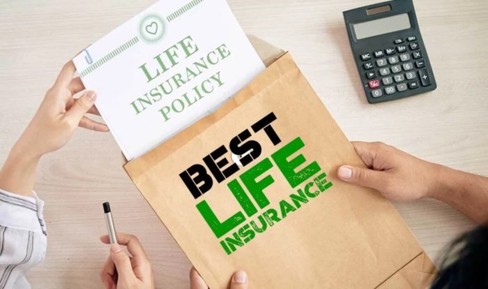Tips To Choose The Best Life Insurance Plans