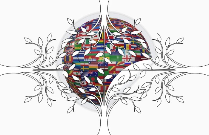 International Travel Insurance