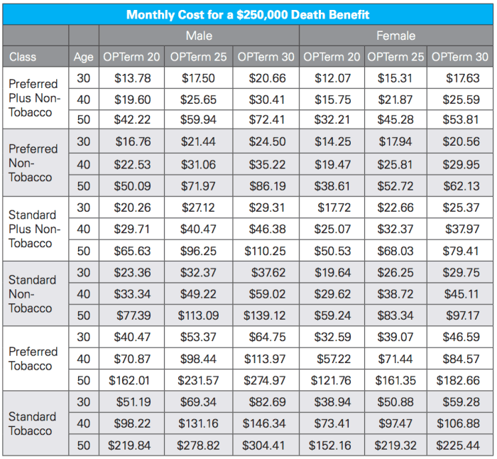 Term Life vs Whole Life Insurance